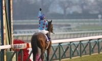 【次走】ブラストワンピースは有馬記念へ向かう、2年ぶりのグランプリ2勝目を目指す