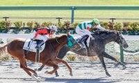 【東京4R新馬戦結果】ホワイトクロウが押し切り新馬勝ち
