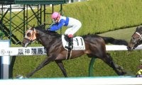 【阪神6R新馬戦結果】ロードエルピスが押し切り勝ち