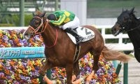【阪神5R新馬戦結果】サトノハンターが接戦を制し新馬勝ち