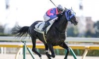 【東京5R新馬戦結果】タケルジャックが好位から抜け出しV