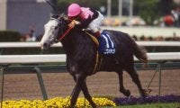 【JRA】外回り→内回りの阪神芝3200mで来年2月に松籟Sを実施、天皇賞・春と同コース