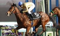 【先週のJRA抹消馬】ハーレムライン、タイムトリップ、エアカーディナル…オープン2勝馬3頭が抹消