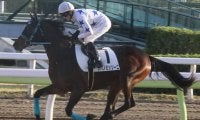 【地方競馬】サバノミッソーニ、大井競馬場でデビュー！