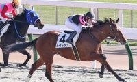 【新馬/東京6R】ヴァンセンヌ産駒 ルヴィアスがデビューV
