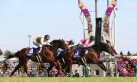 ミスターメロディが競走馬登録抹消