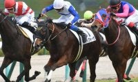 【阪神6R新馬戦結果】6番人気ティフォーザが激戦を制す
