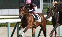 【阪神5R新馬戦結果】断然人気のヴィクティファルスが抜け出してV