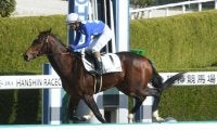 【阪神3R新馬戦結果】5番人気のタイセイヴィーナスが快勝