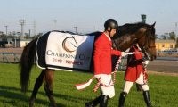 秋のダート王決定戦チャンピオンズCに注目/今週の競馬界の見どころ