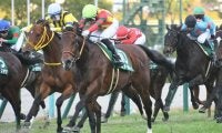 【京阪杯結果】フィアーノロマーノが差し切り重賞2勝目