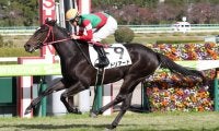 【新馬/阪神6R】ドリアードが人気に応える