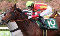 【京阪杯】吉田隼「枠も良かった」フィアーノロマーノが重賞2勝目