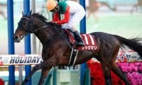 【ステイヤーズS展望】リピーターが多い長距離戦、あの馬に期待