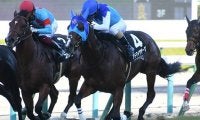 【次走】2戦2勝馬アドマイヤザーゲ、吉田隼人騎手と新コンビでホープフルSへ