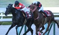 【朝日杯FS想定】デイリー杯2歳S覇者レッドベルオーブ、サウジアラビアRC覇者ステラヴェローチェなど