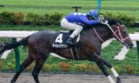 【全日本2歳優駿 登録馬】JRAからタイセイアゲイン、地方からアランバローズ・ラッキードリームなど