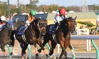 【チャンピオンズC予想】 ダート競馬こそ投資に最適!? 南関の伝説的場立ちがダートの頂上決戦を分析！/JRAレース展望