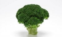 筋トレ民にブロッコリーが人気な理由って？栄養士が徹底解説！