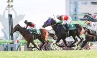 ヴァルディゼールが競走馬登録抹消