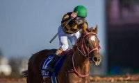 モズアスコットが競走馬登録抹消