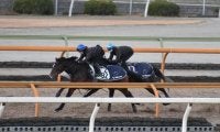 【有馬記念】クロノジェネシス1週前追い切り速報/栗東トレセンニュース