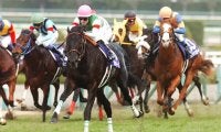 【朝日杯FS予想】 勝ち馬は血統と距離経験から見える!? 阪神のマイル戦を得意とする種牡馬とは？/JRAレース展望