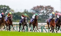 【有馬記念予想】 今秋のGIでの勝率は昨年の「2倍」！ 1番人気を信じることこそが勝利への近道!?/JRAレース展望