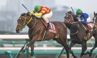 【有馬記念予想】 データが教える“とっておきの穴馬”！ トリッキーな中山コースとの相性から浮上してきたのは？/データ分析