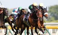 【有馬記念予想】 波乱を巻き起こす可能性を秘めた2頭！ 暮れの大一番で大駆けするのは、人気落ち必至の実績馬!?/JRAレース展望