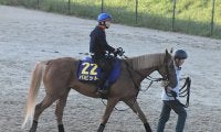 【有馬記念予想】 前走で凡走した3歳馬こそ狙い目!? データから見えてきた“グランプリで巻き返す3歳馬の条件”とは？/データ分析
