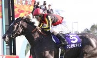 【有馬記念】出走馬の調教後の馬体重