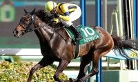 【JRA】京成杯AH連覇のトロワゼトワルが引退、繁殖入り