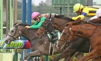 トロワゼトワルが競走馬登録抹消
