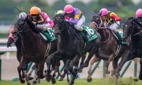 ダイメイプリンセスが競走馬登録抹消