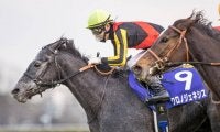 【勝負の分かれ目 有馬記念】北村騎手の信頼に応え、クロノジェネシスが春秋グランプリ制覇