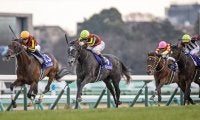 【有馬記念・豆知識】ノーザンF生産馬、芝1600m以上・古馬混合JRAGIでは26連勝