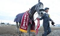 【大井・東京大賞典】オメガパフューム、史上初の3連覇なるか/レースの見どころ(地方競馬)