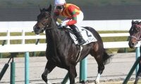 【阪神6R新馬戦結果】外国産馬トップスターサンが抜け出しV