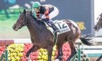 【中山5R新馬戦結果】4番人気のホウオウサンデーが快勝
