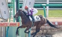 【中山4R新馬戦結果】ピュアブリスが人気に応えて逃げ切りV