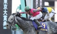 2020年最後のGI東京大賞典に注目/今週の競馬界の見どころ