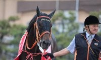 ゴールドドリームが引退、種牡馬に　2017年JRA賞最優秀ダートホース