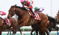 【中山金杯 出走馬決定順】フルゲート17頭にバイオスパーク・カデナなど21頭の登録