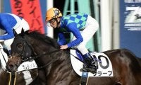 【東京シンデレラマイル】人気の一角サラーブが疾病で競走除外