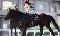 【JRA】クリソベリルが右後肢繋ぎの輪状靭帯を負傷