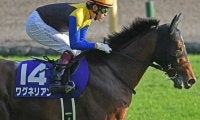 【次走】ワグネリアンは2月の京都記念へ、2018年の日本ダービー馬