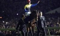 【2020種牡馬リーディング】9年連続でディープインパクトがトップ　コントレイルらでGI・7勝