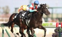 【京都金杯】シュリ＆武豊騎手、ピースワンパラディ＆福永祐一騎手など16頭/出走馬・騎手確定