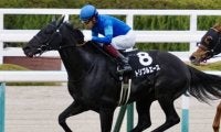 【京都金杯】出走馬の調教後の馬体重